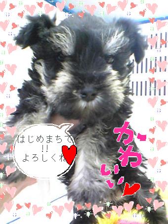 script_magicalmaker,http://www.magicalmaker.com/js/ameblo.js.php?upwh=2101534-1263144825-340-453
