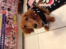 PET SUPER 1WAN 池袋店さんのﾌﾞﾛｸﾞ-image.jpeg