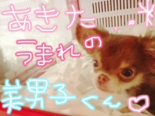 PET SUPER 1WAN 池袋店さんのﾌﾞﾛｸﾞ-image.jpeg