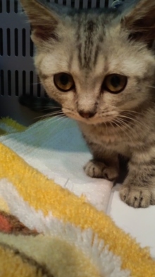 PET SUPER 1WAN 池袋店さんのﾌﾞﾛｸﾞ-120725_1724~01.jpg