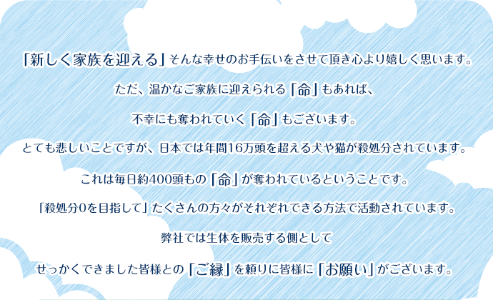 「新しく家族を迎える」そんな幸せのお手伝いを…