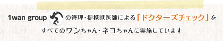 1wan groupの管理・提携獣医師による「ドクターズチェック」をすべてのワンちゃん・ネコちゃんに実施しています
