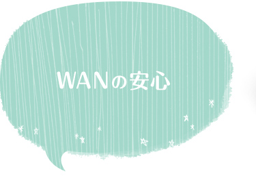 WANの安心