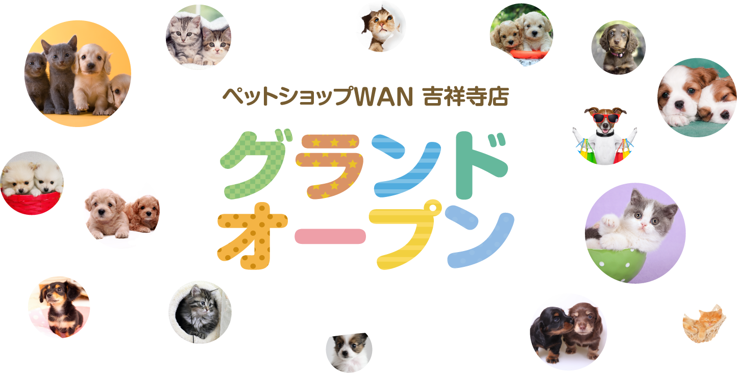 ペットショップWAN グランドオープン9月30日(金)