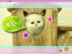 17-12-20-15-10-57-251_deco
