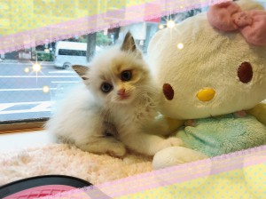 0725らぐ