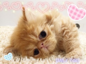 1019えき