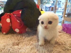 まんち3