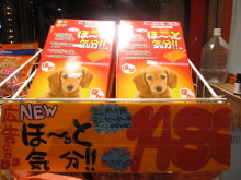 ペットショップWAN仙台店　看板犬チャウの散歩♪