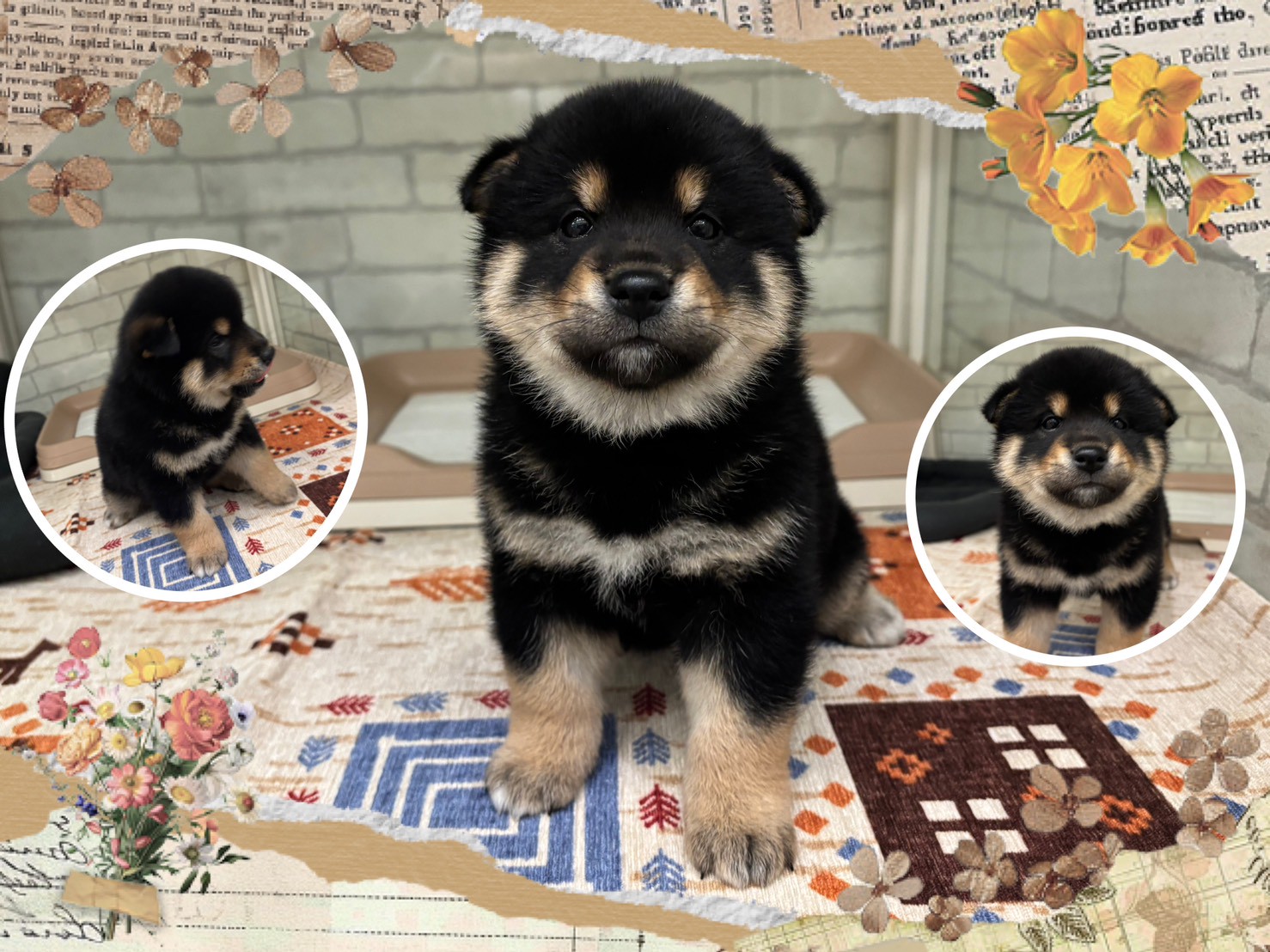 LINE_ALBUM_インスタ各店_260226_1