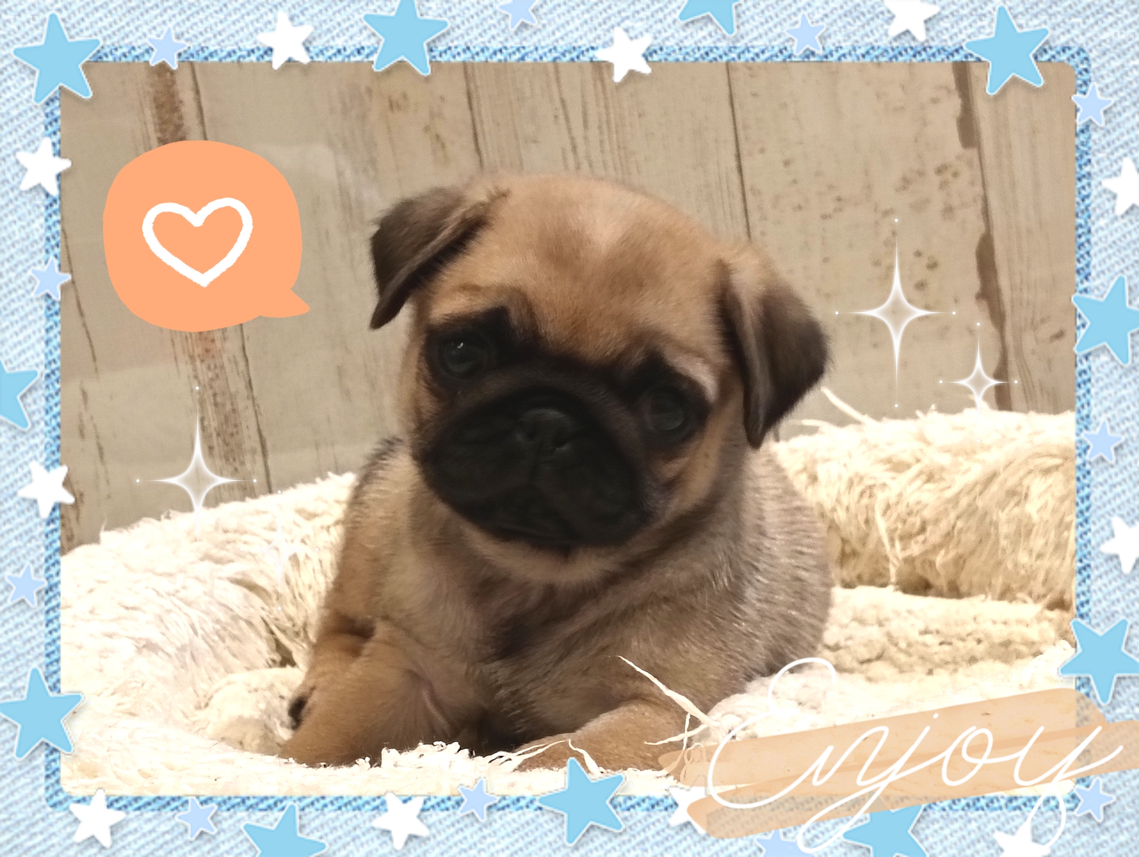 26-01-22-17-16-10-001_deco