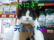 PET SUPER WAN横浜店のブログ