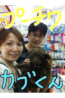 PET SUPER WAN横浜店のブログ