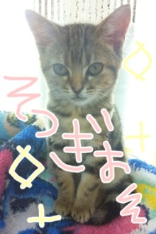 PET SUPER WAN横浜店のブログ