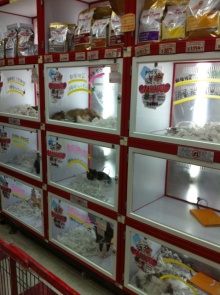 PET SUPER WAN横浜店のブログ