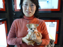 PET SUPER WAN横浜店のブログ